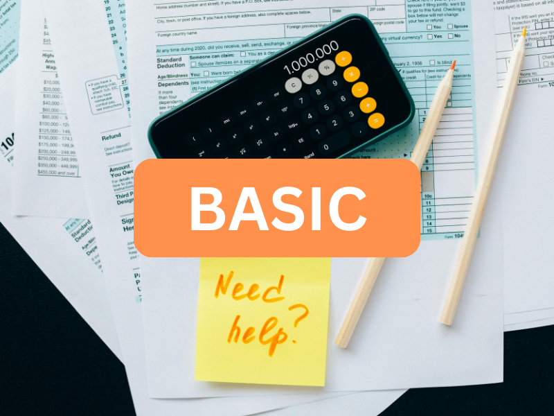 Basic Audit Pack